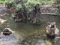 -国恩寺