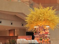-Plush大堂酒廊(北京金融街威斯汀大酒店)