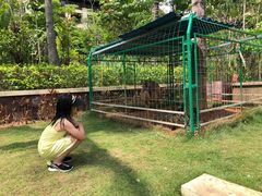 -西双版纳融创皇冠假日度假酒店