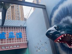 -海合安成都极地海洋公园