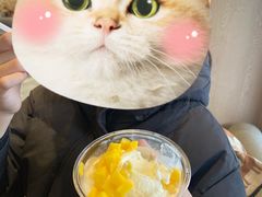 -都可手作(学士街手作店)