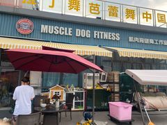 -翊宠yipet猫狗购宠庄园犬舍•猫舍