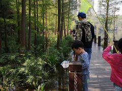 -重庆彩云湖湿地公园