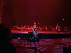 -珠海横琴长隆《卡卡虎奇遇记》