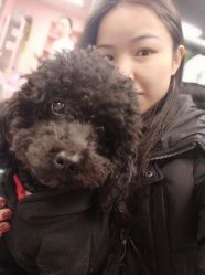 -斐尔国际皮肤管理中心