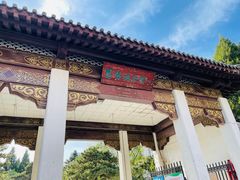 -团结湖公园
