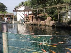-湖鲜楼