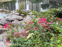 -四海公园(南山区)
