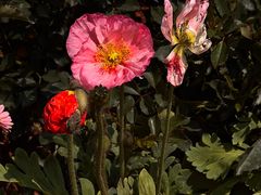 -人民公园(罗湖区)