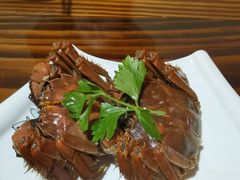 -呼吸森林·生态农庄农家乐私房菜