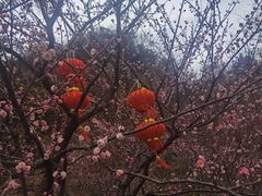 -狼山风景名胜区