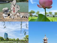 -无锡蠡湖国家湿地公园-蠡园