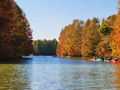 -上海海湾国家森林公园