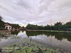 -团结湖公园