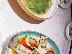 -大榕树下顺德菜(融创茂店)
