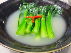 -点都德·毕德寮