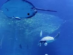 -正佳极地海洋世界