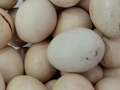 -丹水桥地锅鱼·翘嘴鲌·地方特色全鱼宴(丹江口大坝店)