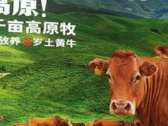 -陈记顺和潮汕鲜牛肉火锅(棠德南路店)