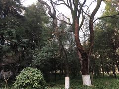 -南京航空航天大学(明故宫校区)