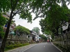 -龙井村