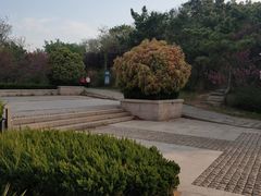 -浮山香苑