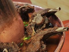 -香满锅老北京羊蝎子火锅·家常菜(新街口店)