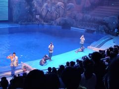 -芜湖新华联大白鲸海洋公园