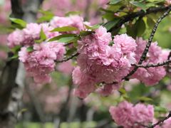 -苏州河梦清园环保主题公园