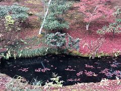 -三千院