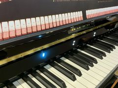 -柏斯琴行(汾阳店)