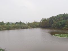 -鄱阳湖国家湿地公园