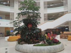 -厦门市图书馆(集美新城馆区)