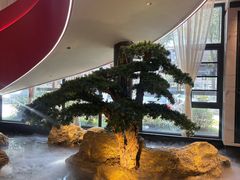 -院里寻菜·精致庭院菜(观沙岭店)