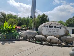 -陕西自然博物馆