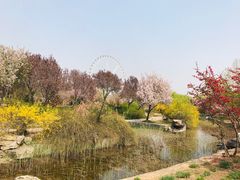 -石家庄市植物园