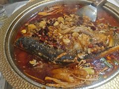 -肥家大排档(天河体育西店)