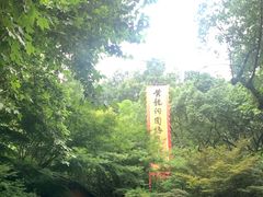 -杭州黄龙洞