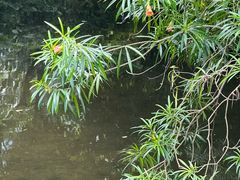 -同庆堂(解放北路店)