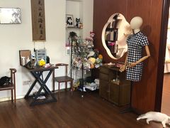 -楼上猫咖(罗湖店)