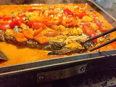 -炉鱼(亲橙里店)