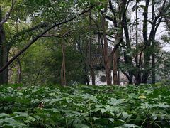 -汇龙潭