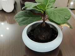 -茶港食堂(武昌店)