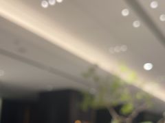 -金春禧(世茂国际广场店)