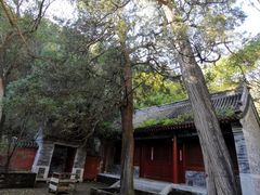 -仙居谷风景区