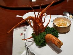 清蒸大龙虾-聚春园自助餐厅(东街口店)
