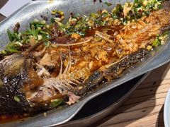 -树厨贵州菜(大十字店)