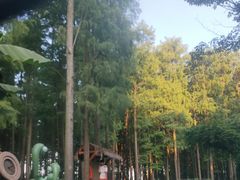 -武汉玛雅海滩水公园