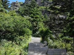 -牛背梁国家森林公园