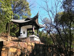 -无锡梅园公园